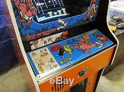 Arcade Machine, -Coin Operated, -Amusement, Nintendo, -, Donkey Kong Jr