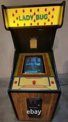 LADYBUG arcade machine in amazing condition! Willing to ship