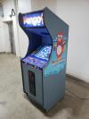 Pengo By Sega Coin-op Arcade Video Game